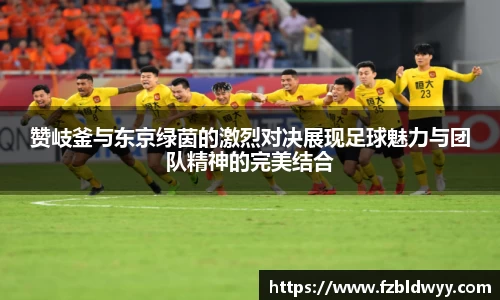 球速体育官方网站